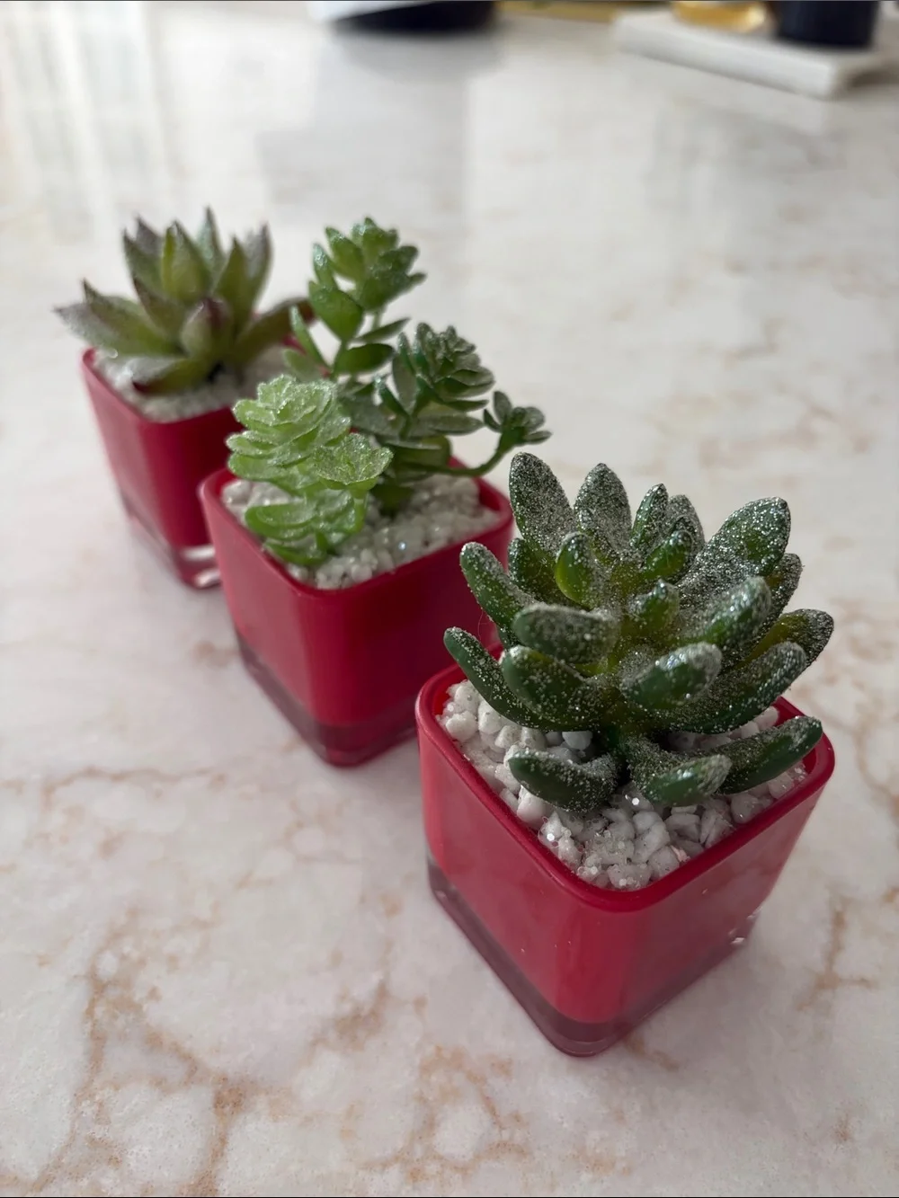 Mini Faux Succulent Trio in Red Glass Square Pots -